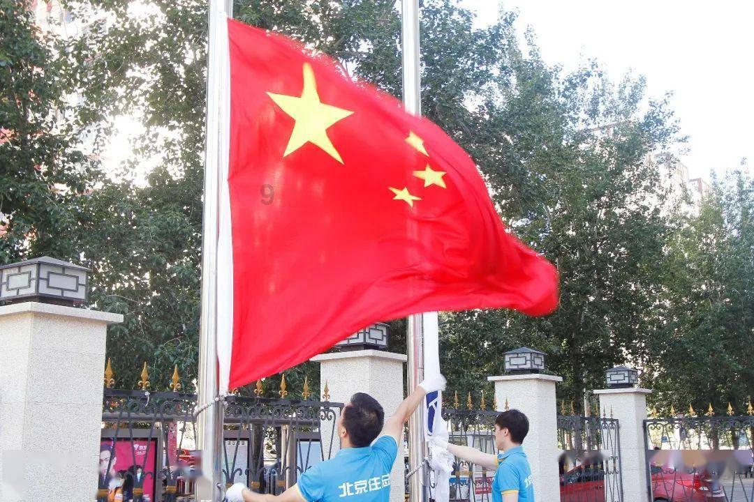 小猫钓鱼游戏龙王版有船